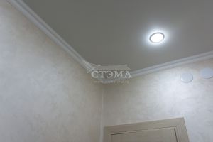 stema