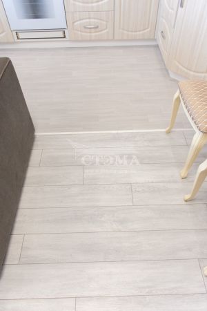 stema