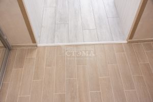 stema